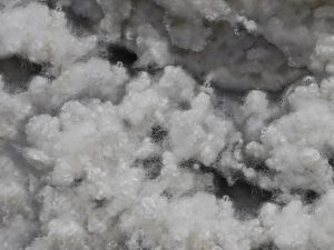 Hollow polyester fibers