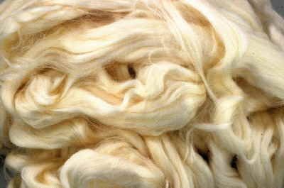 Buying fibers